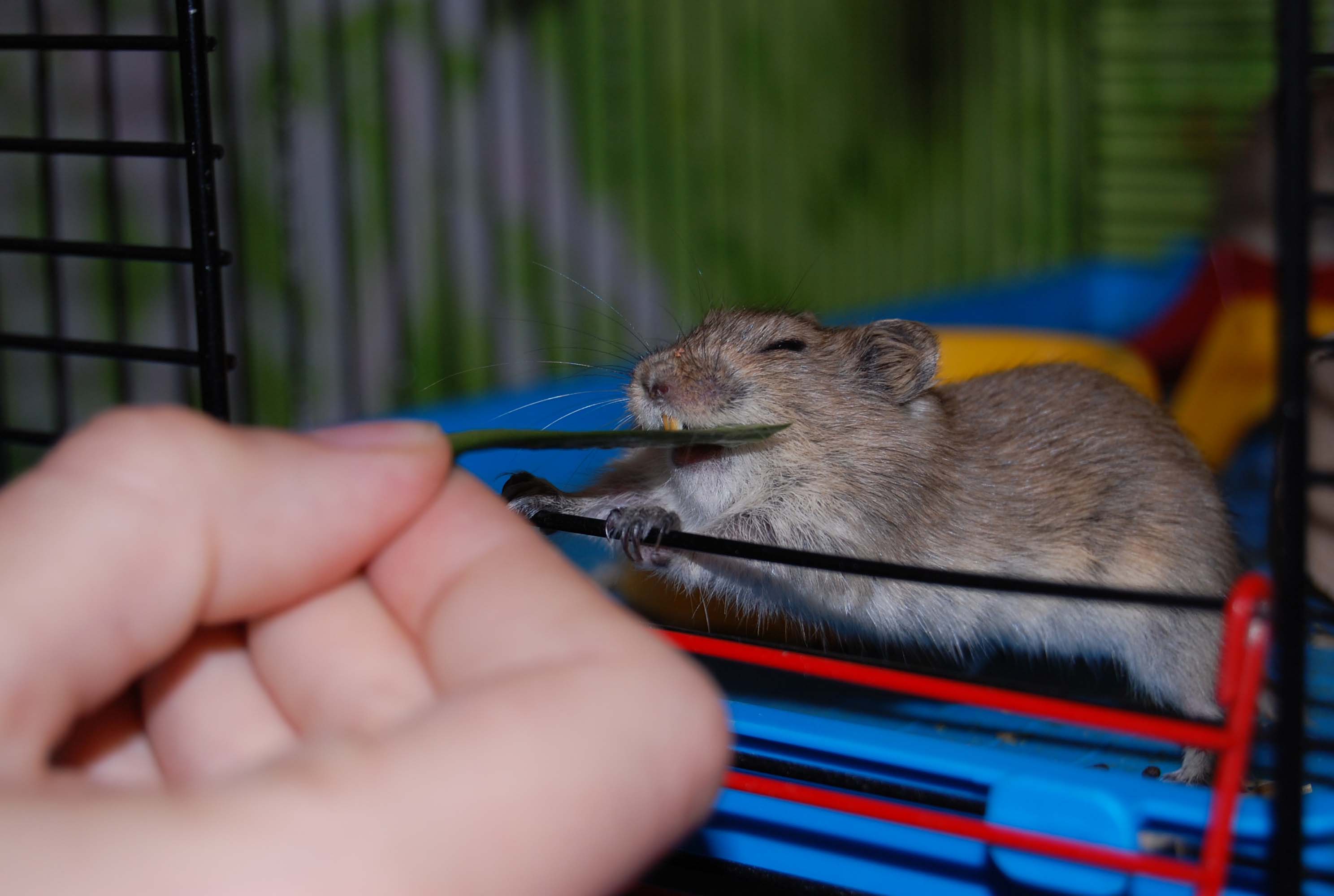 DSC_0064 kopie.jpg