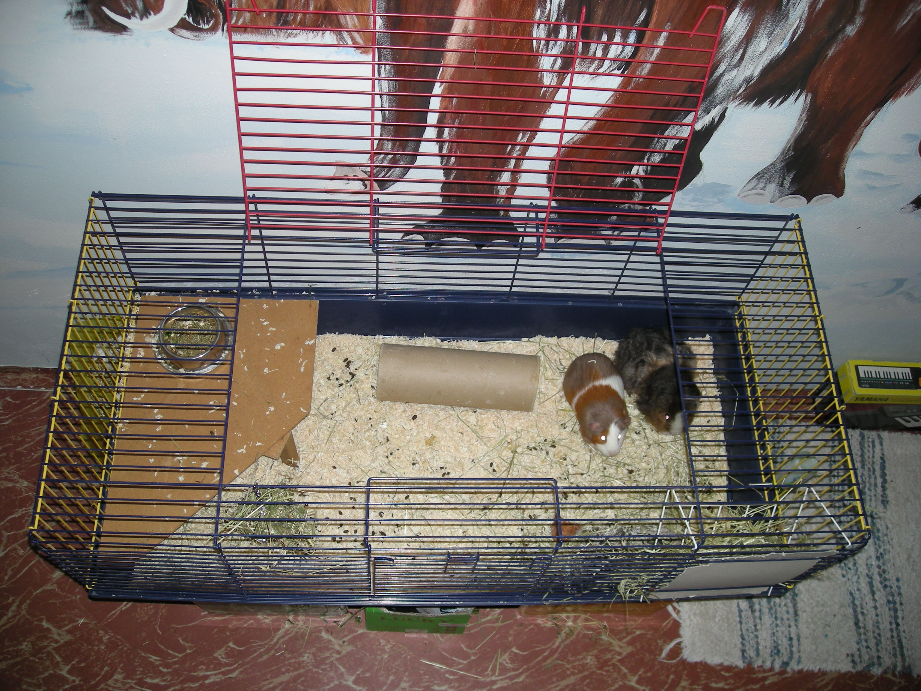 DSCN1883.JPG